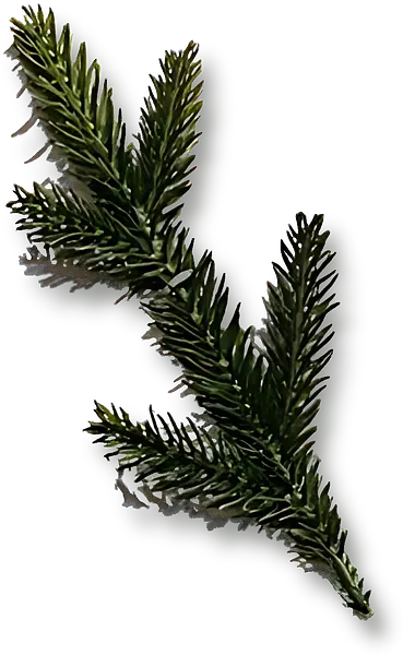 BQ0708 耶誕樹配件