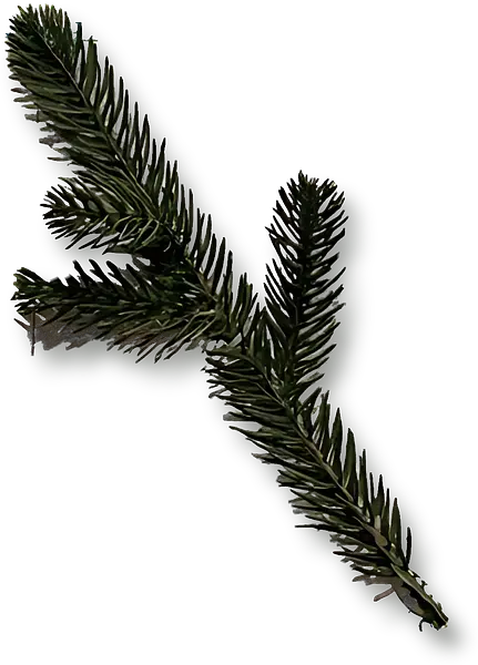 BQT004 耶誕樹配件