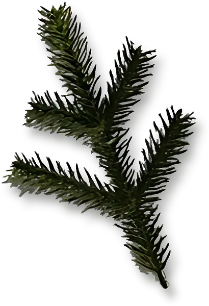 BQY003 耶誕樹配件