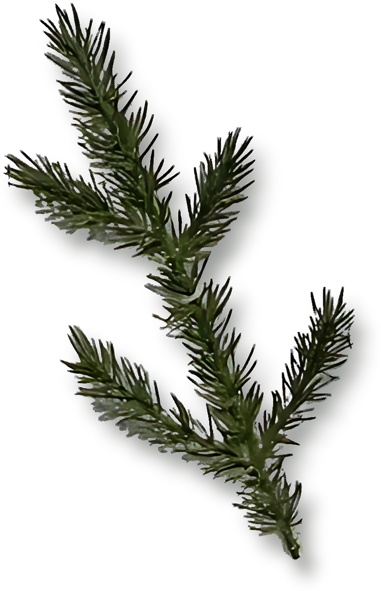 BQY005 耶誕樹配件